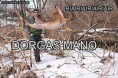 /album/galeria-de-fotos/a2-jpg/