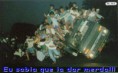/album/galeria-de-fotos/a3-jpg/