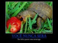 /album/galeria-de-fotos/a5-jpg/